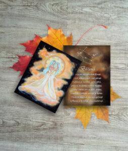 Kartička blíženci