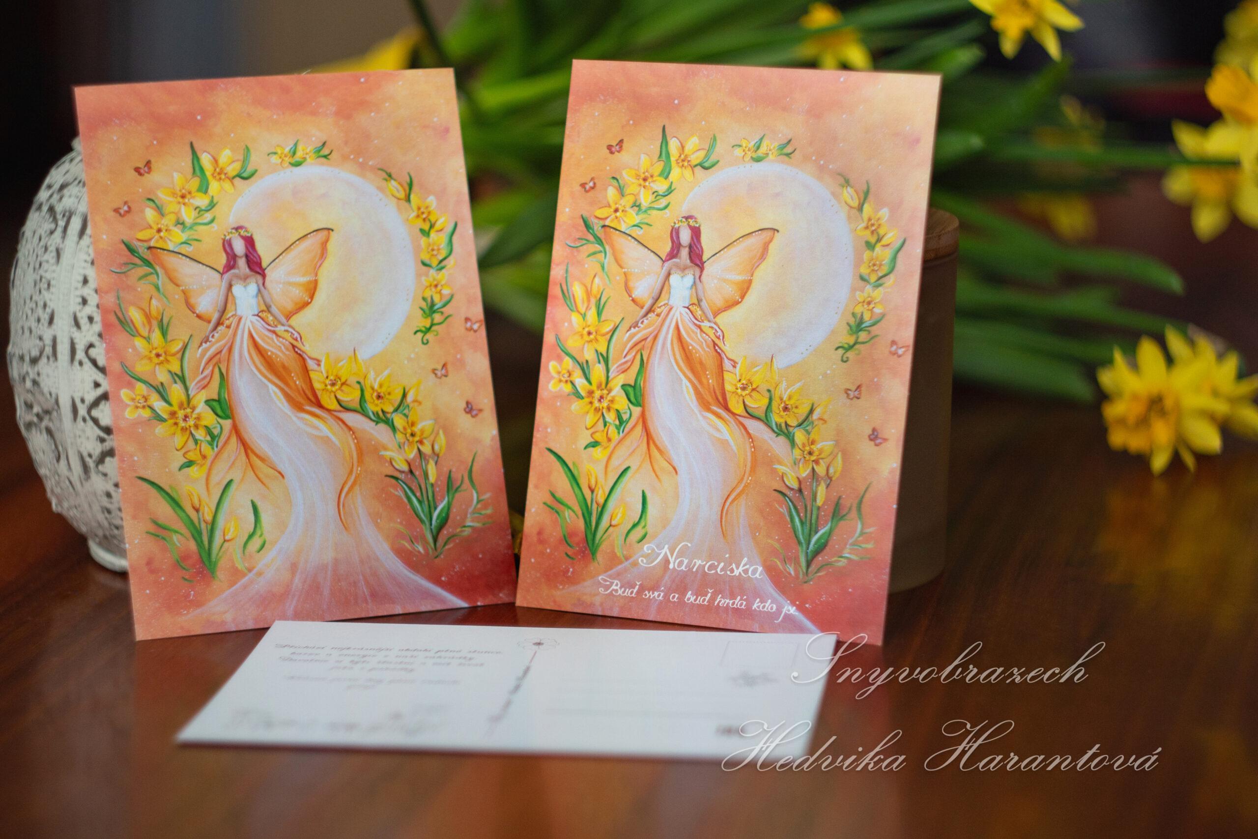 Jarní pohlednice - Narciska - Obrázek 2