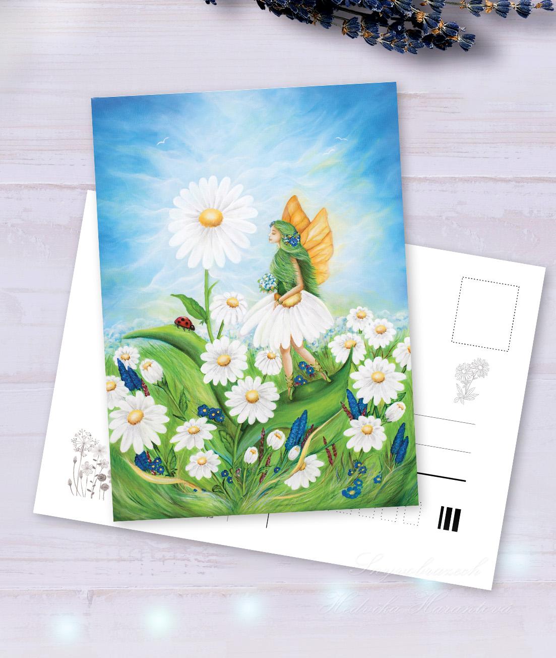 Pohlednička Kopretinka