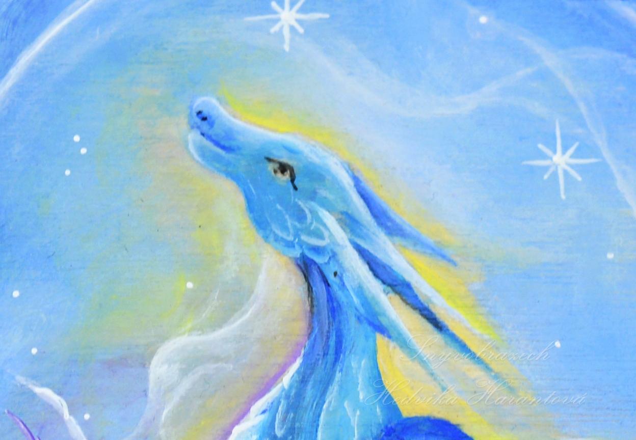 Dráček - Obrázek 3